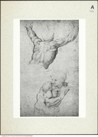 Vorderseite von bh413605_recto