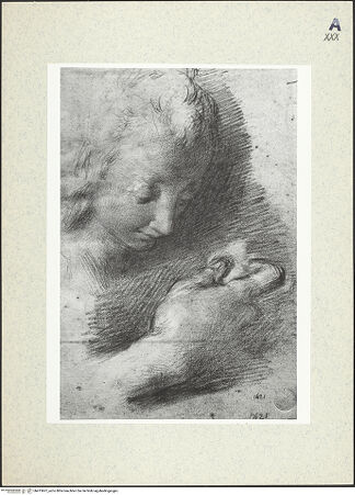 Vorderseite von bh413607_recto