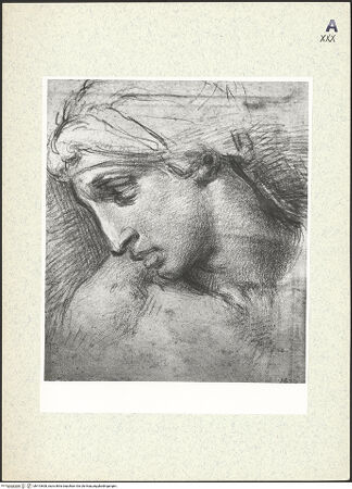 Vorderseite von bh413608_recto