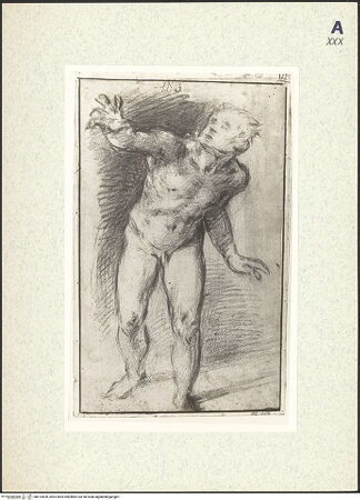 Vorderseite von bh413609_recto