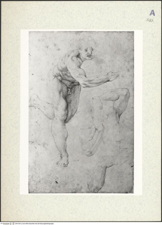 Vorderseite von bh413613_recto