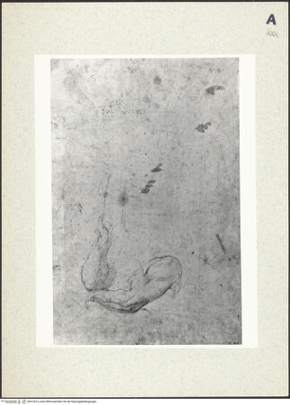 Vorderseite von bh413614_recto