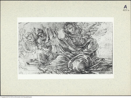 Vorderseite von bh413645_recto