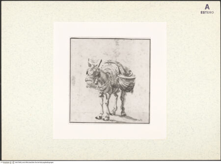 Vorderseite von bh413660_recto