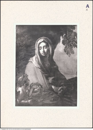 Vorderseite von bh413932_recto