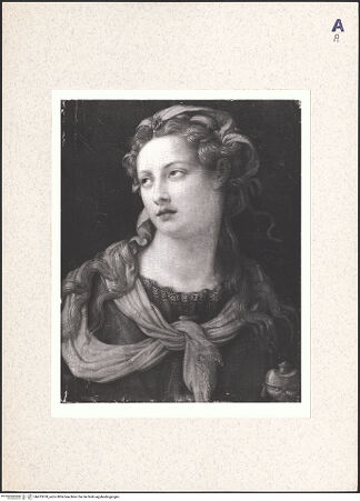 Vorderseite von bh413978_recto