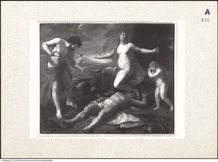 Vorderseite von bh414038_recto