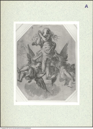 Vorderseite von bh415012_recto