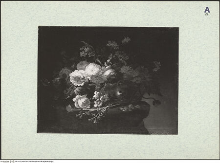 Vorderseite von bh415102_recto