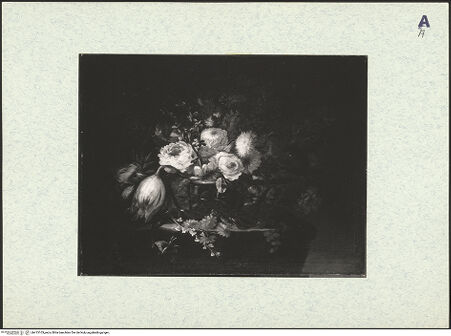 Vorderseite von bh415103_recto