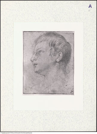 Vorderseite von bh415269_recto