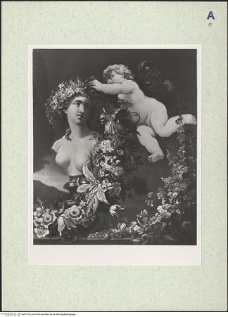 Vorderseite von bh415314_recto