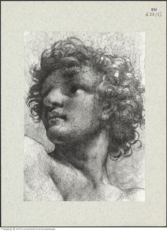 Vorderseite von bh415375_recto