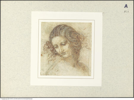 Vorderseite von bh415601_recto