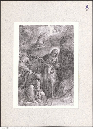 Vorderseite von bh416208_recto