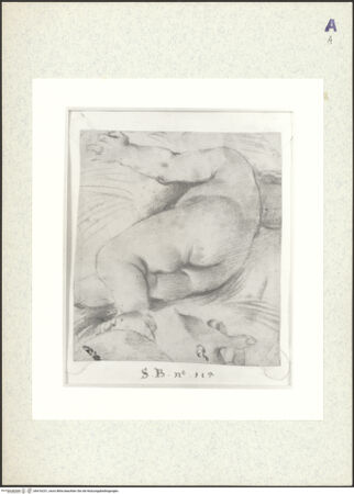 Vorderseite von bh416231_recto