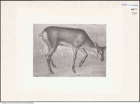 Vorderseite von bh416253_recto