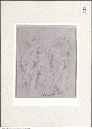 Vorderseite von bh416268_recto