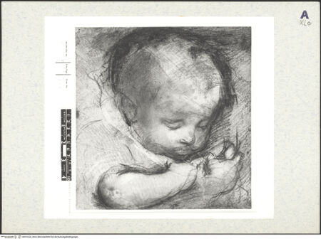 Vorderseite von bh416326_recto