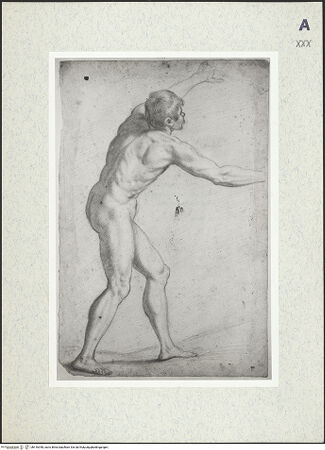 Vorderseite von bh416348_recto