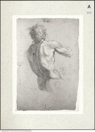 Vorderseite von bh416354_recto