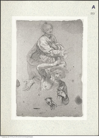 Vorderseite von bh416356_recto