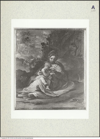 Vorderseite von bh416365_recto