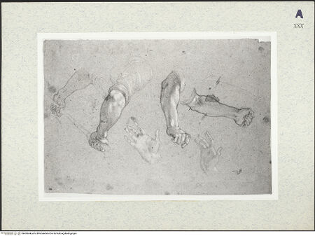 Vorderseite von bh416604_recto