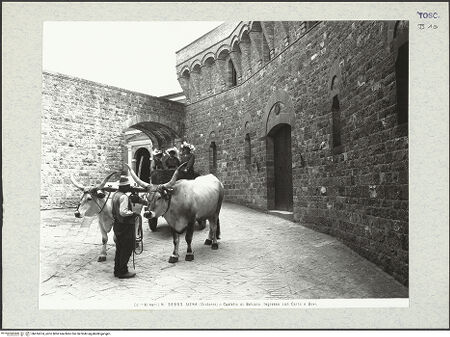 Vorderseite von bh416674_recto