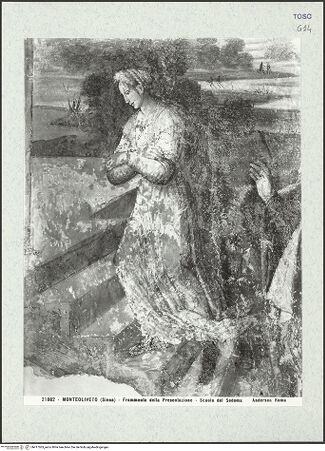 Vorderseite von bh417063_recto