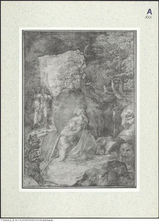 Vorderseite von bh417749_recto