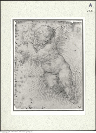 Vorderseite von bh417759_recto