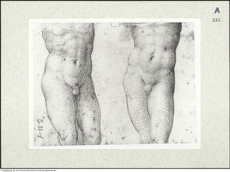 Vorderseite von bh417760_recto