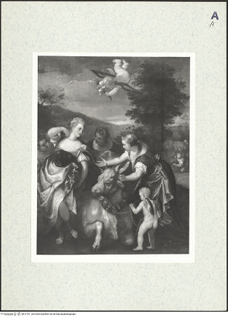 Vorderseite von bh417781_recto