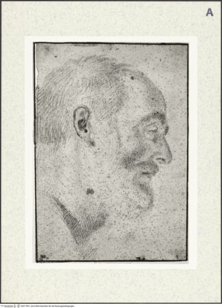 Vorderseite von bh417851_recto