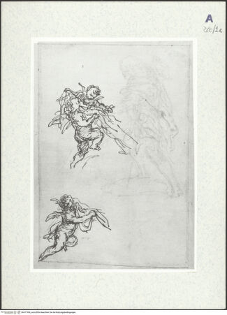 Vorderseite von bh417906_recto