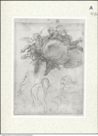 Vorderseite von bh417921_recto