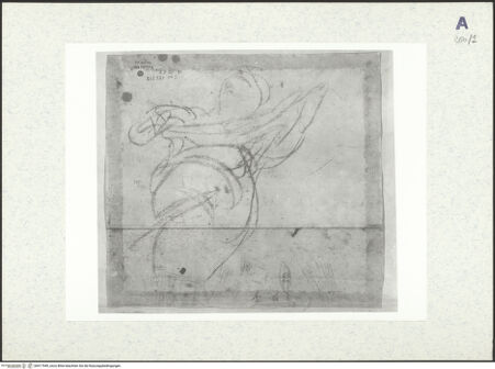 Vorderseite von bh417949_recto