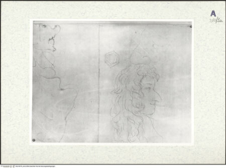 Vorderseite von bh418076_recto