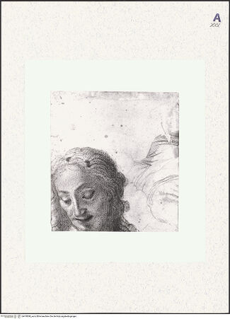 Vorderseite von bh418098_recto