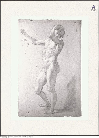 Vorderseite von bh418109_recto