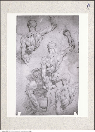 Vorderseite von bh418529_recto