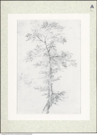 Vorderseite von bh418554_recto