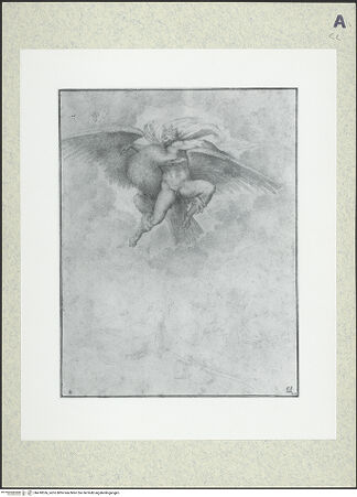 Vorderseite von bh418556_recto