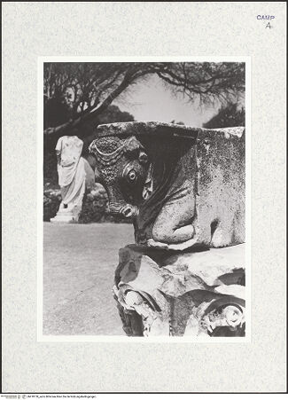 Vorderseite von Bibliotheca Hertziana [https://www.deutsche-digitale-bibliothek.de/content/lizenzen/rv-fz/] Stierfigur auf einer antiken Konsole - Seitenansicht von rechts, bh418730_recto. Foto: Zallinger zu Stillendorf, Marlies von.