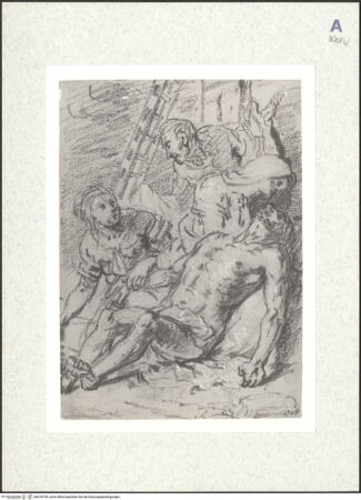 Vorderseite von bh418799_recto