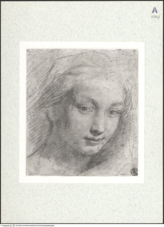 Vorderseite von bh418802_recto