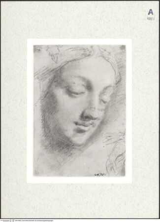 Vorderseite von bh418803_recto