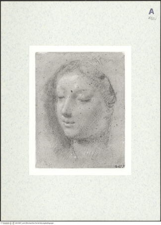 Vorderseite von bh418807_recto