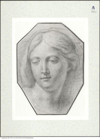 Vorderseite von bh418813_recto